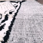 Desert Roots Moroccan Wool Rug